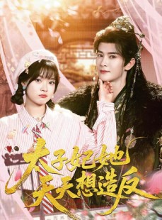短剧《太子妃她天天想造反》89集短剧在线观看直达大结局
