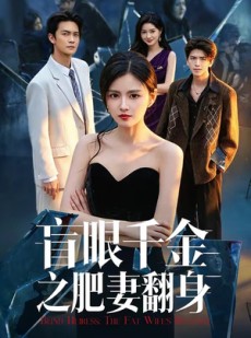 短剧《盲眼千金之肥妻翻身》48集短剧在线观看全集无删减
