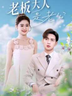 短剧《老板大人是老公》45集短剧独家播放平台免费看