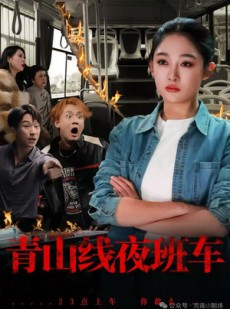 短剧《青山线夜班车》63集短剧高清画质免费畅看