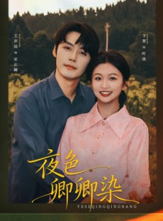 短剧《夜色卿卿染》80集短剧完整版高清免费看