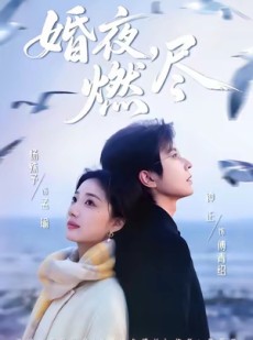 短剧《婚夜，燃尽》85集短剧在线一口气看大结局