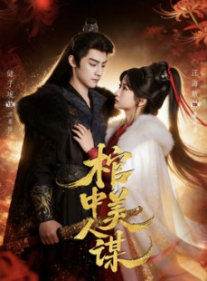 短剧《棺中美人谋》60集短剧高清在线免费看全集