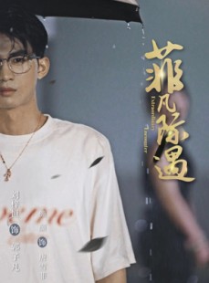 短剧《菲凡际遇》100集短剧4K超清画质在线观看