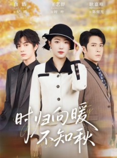 短剧《第二十八年冬》51集短剧1080P高清全集观看