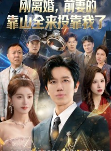 短剧《离婚，前妻的靠山全来投靠我了》80集短剧免费在线看完整剧情