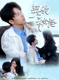 短剧《契约秘恋》94集短剧全集下载离线也能看