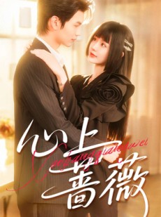 短剧《心上蔷薇》100集短剧4K画质网盘免费看