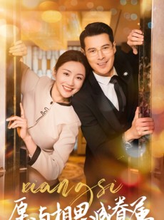 短剧《愿与相思成眷属》77集短剧无广告纯净版观看