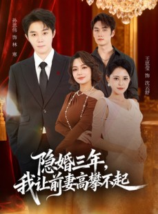 短剧《隐婚三年我让前妻高攀不起》85集短剧超清无广告在线追