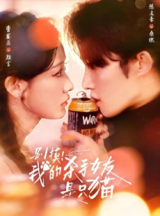 短剧《别摸！我的杀手女友是只猫》60集短剧在线解锁全集观看
