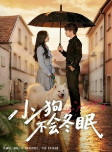 短剧《小狗不会冬眠》70集短剧完整版在线免费观看