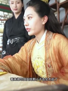 短剧《我在后宫攻略天下》79集短剧高清流畅在线免费看