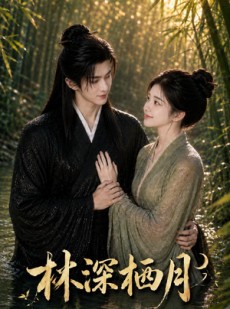 短剧《林深栖月》55集短剧完整版免费畅享观看