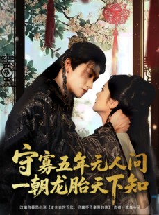 短剧《守寡五年无人问一朝龙胎天下知》83集短剧VIP资源免费观看
