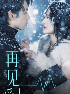 短剧《再见爱人》84集短剧全集免费在线观看畅享剧情