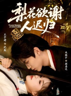短剧《梨花欲谢人迟归》60集短剧完整版在线免费观影