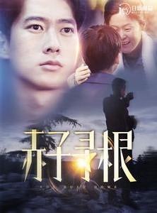 短剧《赤子寻根》100集短剧全集高清版免费观看无限制