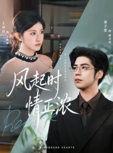 短剧《风起时情正浓》79集短剧一键解锁全集看