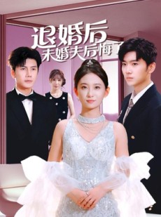 短剧《退婚后未婚夫后悔了》86集短剧在线畅享全集不卡顿