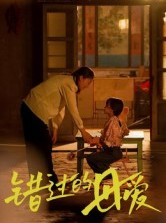 短剧《错过的母爱》32集短剧全集免费在线观看不卡顿