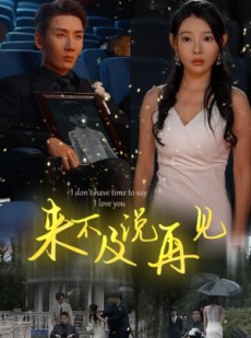 短剧《来不及说再见》30集短剧极速播放高清在线观看