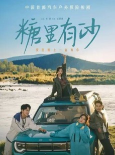 短剧《糖里有沙》30集短剧1080P超清在线观看