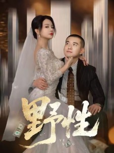短剧《野性》70集短剧网盘资源免费高清看