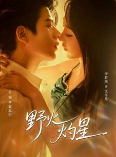 短剧《野火灼星》56集短剧完整版免费畅享观看