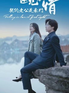 短剧《医见钟情契约老公是豪门》100集短剧VIP资源免费在线观看