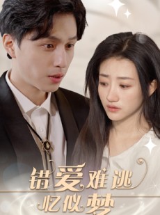 短剧《错爱难逃忆似梦》95集短剧高清流畅在线观看