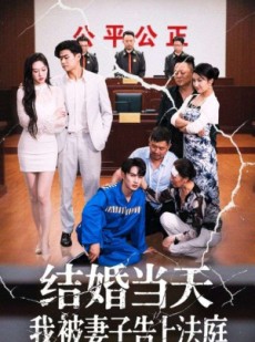 短剧《结婚当天我被妻子告上法庭》30集短剧全集资源免费分享观看