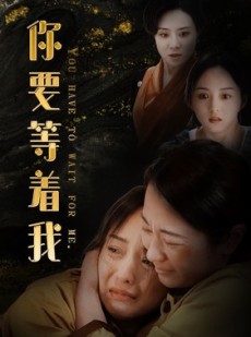 短剧《你要等着我》85集短剧无广告在线流畅播放