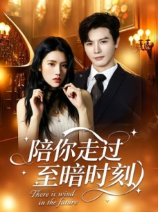 短剧《陪你走过至暗时刻》80集短剧在线观看完整版