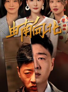 短剧《由南向北》88集短剧高清流畅在线免费观看