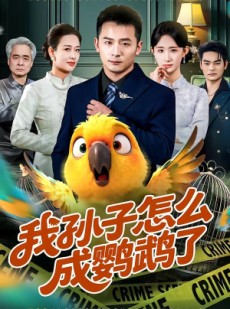短剧《我孙子怎么成鹦鹉了》71集短剧一键观看全集内容