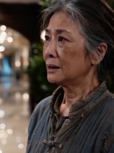 短剧《我的订婚宴上，闯进来两个要饭的》66集短剧全集在线免费看