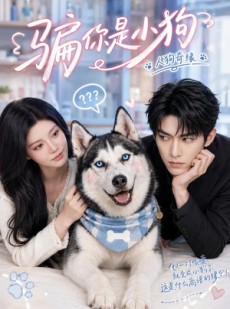 短剧《骗你是小狗》20集短剧1080P在线免费观看
