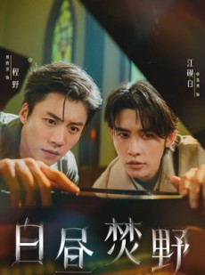 短剧《白昼焚野》70集短剧免费高清全集观看