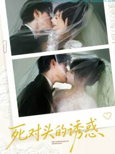 短剧《死对头的诱惑》77集短剧高清无删减在线看