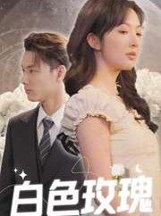 短剧《白色玫瑰》80集短剧每日更新追剧无忧观看