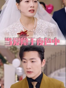 短剧《当爱隐于夜色中》37集短剧官方授权观看平台