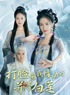 短剧《打脸偷我情劫的并蒂白莲》30集短剧全集在线观看不等待