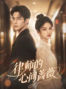 短剧《律师的心间蔷薇》59集短剧高清全集在线直看