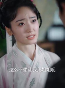 短剧《踏血行歌》120集短剧高清流畅在线免费观看