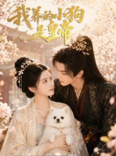 短剧《我养的小狗是皇帝》57集短剧全集在线观看不卡顿