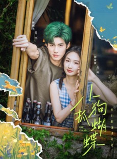 短剧《小狗抓蝴蝶》75集短剧全集高清极速播放