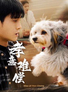 短剧《孝意难偿》32集短剧每日更新及时看