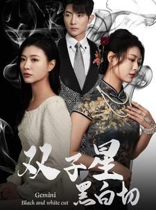 短剧《双子星黑白切》82集短剧高清流畅在线观看