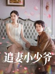 短剧《追妻小少爷》31集短剧高清流畅免费观看